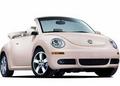 Volkswagen(大众)-New Beetle(新甲壳虫)
